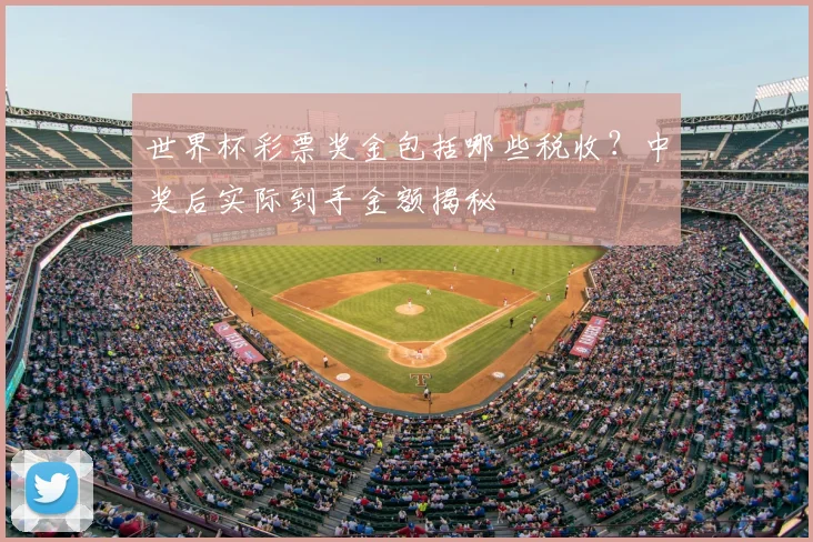 世界杯彩票奖金包括哪些税收？中奖后实际到手金额揭秘