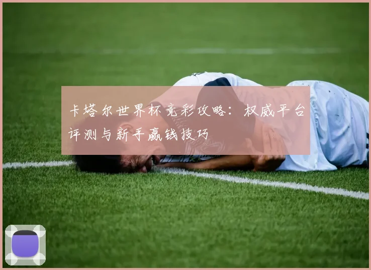 卡塔尔世界杯竞彩攻略：权威平台评测与新手赢钱技巧