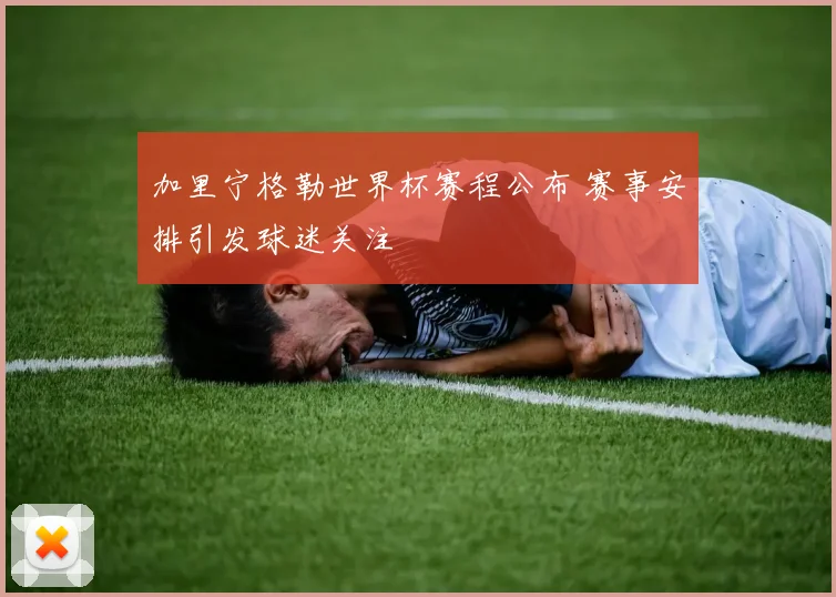加里宁格勒世界杯赛程公布 赛事安排引发球迷关注