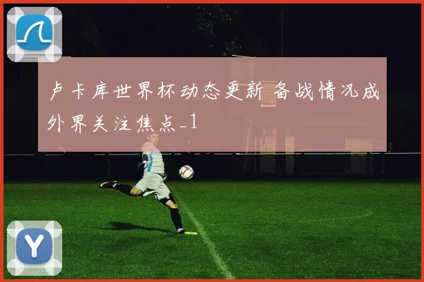 卢卡库世界杯动态更新 备战情况成外界关注焦点_1