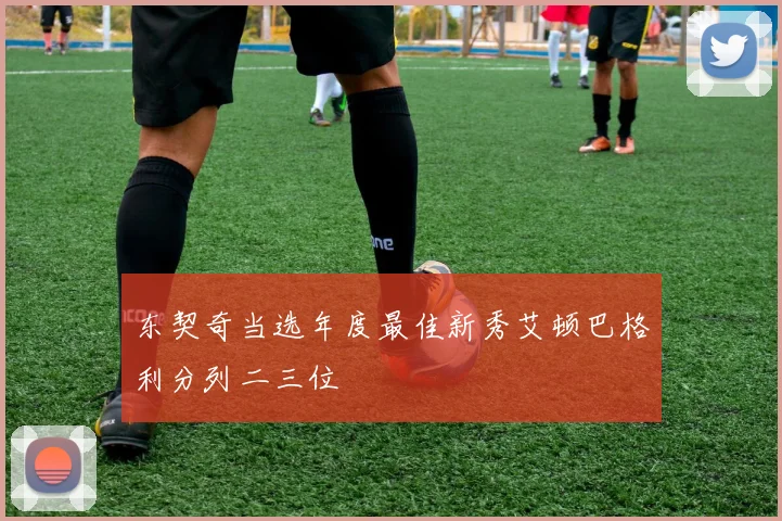 东契奇当选年度最佳新秀艾顿巴格利分列二三位