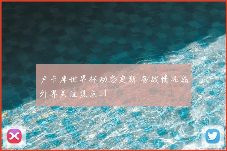 卢卡库世界杯动态更新 备战情况成外界关注焦点_1