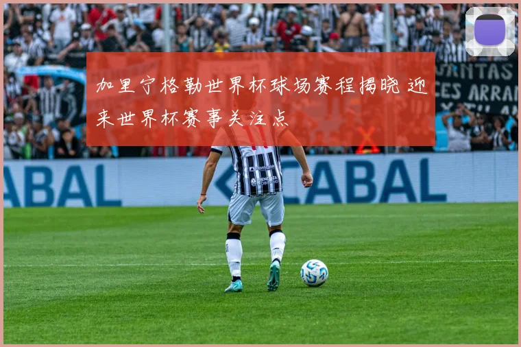 加里宁格勒世界杯球场赛程揭晓 迎来世界杯赛事关注点
