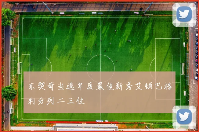 东契奇当选年度最佳新秀艾顿巴格利分列二三位