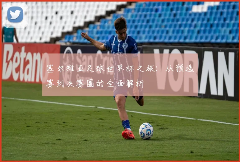 塞尔维亚足球世界杯之旅：从预选赛到决赛圈的全面解析