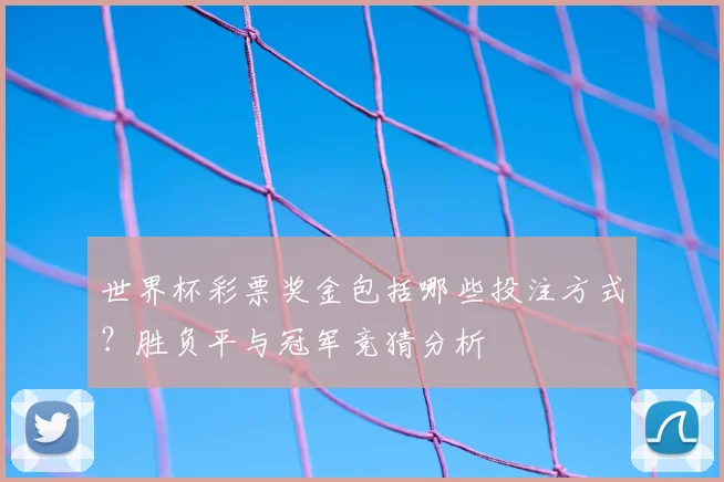 世界杯彩票奖金包括哪些投注方式？胜负平与冠军竞猜分析