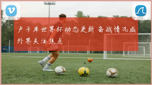 卢卡库世界杯动态更新 备战情况成外界关注焦点