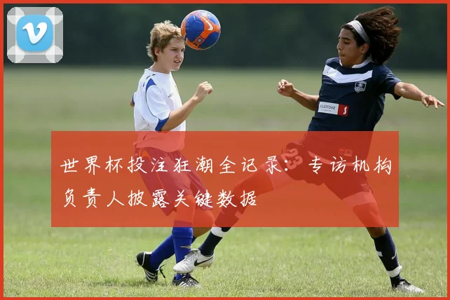 世界杯投注狂潮全记录：专访机构负责人披露关键数据