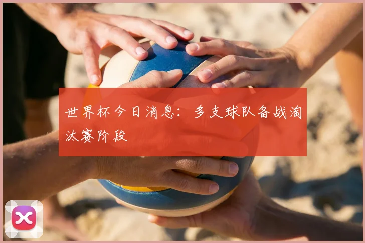 世界杯今日消息：多支球队备战淘汰赛阶段