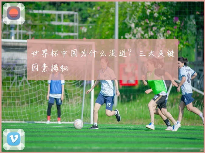 世界杯中国为什么没进？三大关键因素揭秘